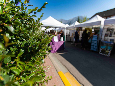 Kaubandustelgid: kui on mõttekas omada mitut erinevat suurust ühe suure asemel