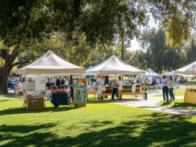 Kuidas valida kaubandustelk, mis teenib teid rohkem kui ühe hooaja jooksul: tõelised kvaliteedi tunnused